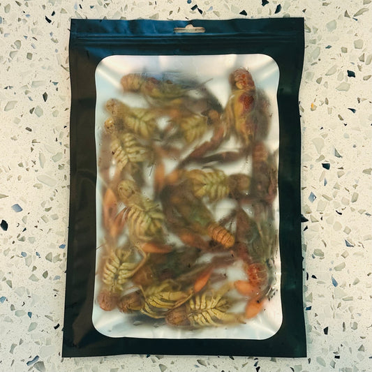 Preserved Crayfish Fishing Bait | Whole Crawfish | Scented and Brined