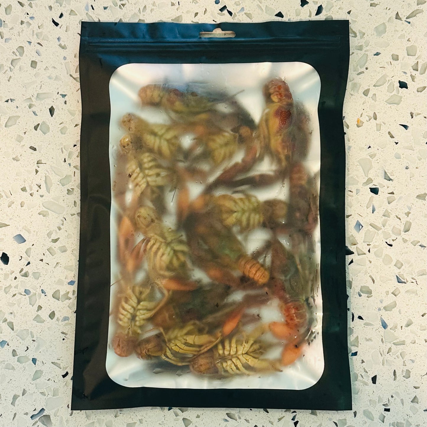 Preserved Crayfish Fishing Bait | Whole Crawfish | Scented and Brined