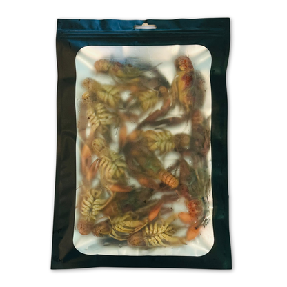 Preserved Crayfish Fishing Bait | Whole Crawfish | Scented and Brined