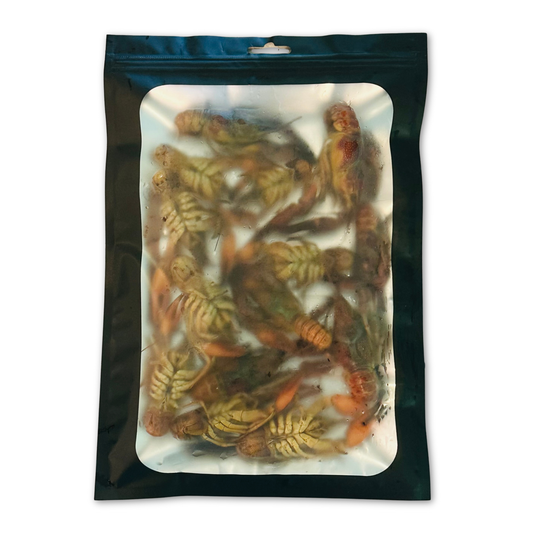 Preserved Crayfish Fishing Bait | Whole Crawfish | Scented and Brined